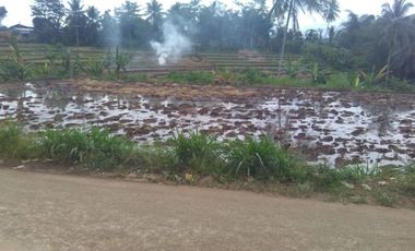 Tanah murah masuk mobil pinggir jalan desa Cipatat