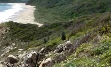 100 hectáreas en risco, con 1 kilómetro de playa.