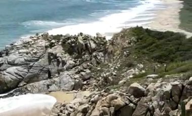 100 hectáreas en risco, con 1 kilómetro de playa.