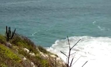 100 hectáreas en risco, con 1 kilómetro de playa.