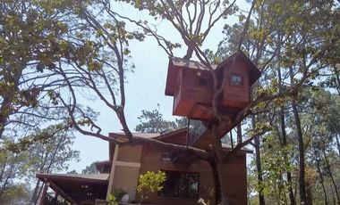 Cabaña en venta mazamitla