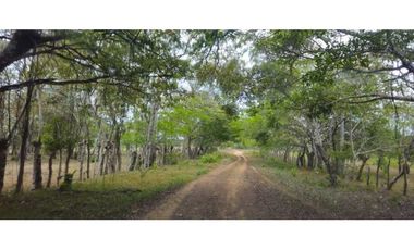 VENDO FINCA 168 HAS EN CHIRIQU