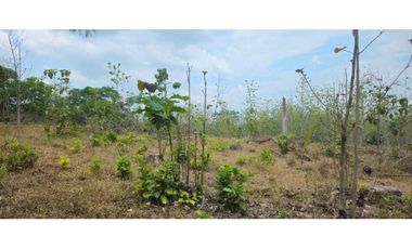 VENDO FINCA 168 HAS EN CHIRIQU