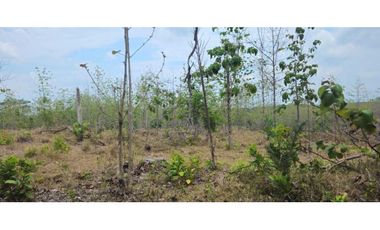 VENDO FINCA 168 HAS EN CHIRIQU