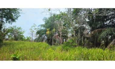 VENDO FINCA 168 HAS EN CHIRIQU