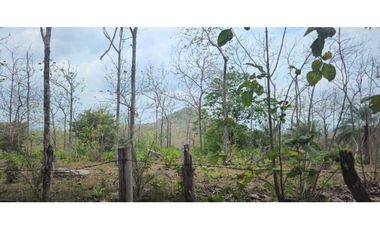 VENDO FINCA 168 HAS EN CHIRIQU