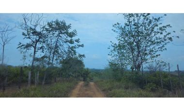 VENDO FINCA 168 HAS EN CHIRIQU