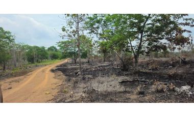 VENDO FINCA 168 HAS EN CHIRIQU