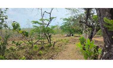 VENDO FINCA 168 HAS EN CHIRIQU