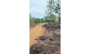 VENDO FINCA 168 HAS EN CHIRIQU