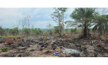 VENDO FINCA 168 HAS EN CHIRIQU