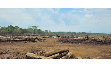 VENDO FINCA 168 HAS EN CHIRIQU