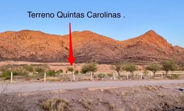 TERRENO EN VENTA 121,019.42 M2. ZONA QUINTAS CAROLINAS.