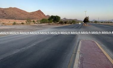 TERRENO EN VENTA 121,019.42 M2. ZONA QUINTAS CAROLINAS.