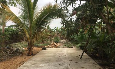 VENDO TERRENO RELLENADO AL PIE DE LA CARRETERA EN VIA SAMBORONDON