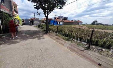 Tanah Murah Rancaekek Bandung