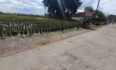 Tanah Murah Rancaekek Bandung