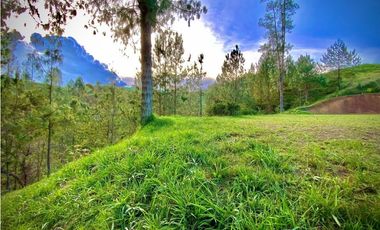 venta Lote Parcelacion El Retiro