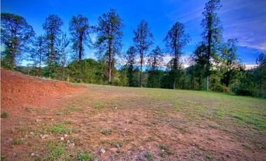 venta Lote Parcelacion El Retiro