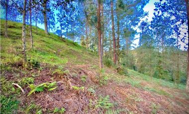 venta Lote Parcelacion El Retiro