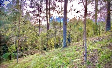 venta Lote Parcelacion El Retiro