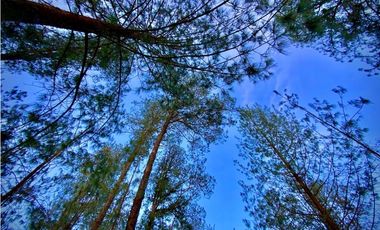 venta Lote Parcelacion El Retiro