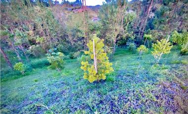 venta Lote Parcelacion El Retiro