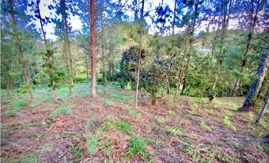 venta Lote Parcelacion El Retiro