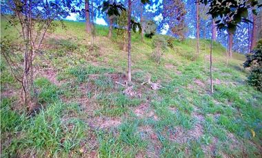 venta Lote Parcelacion El Retiro