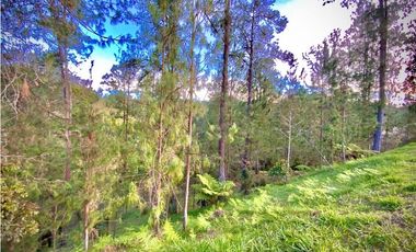 venta Lote Parcelacion El Retiro