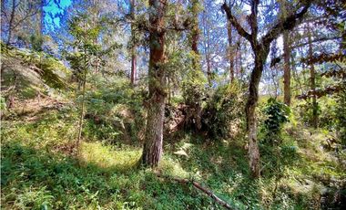 venta Lote Parcelacion El Retiro