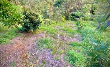 venta Lote Parcelacion El Retiro