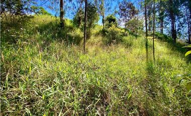 venta Lote Parcelacion El Retiro