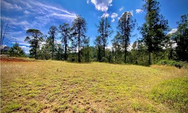 venta Lote Parcelacion El Retiro