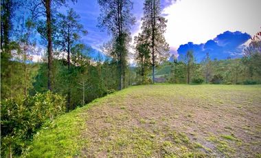 venta Lote Parcelacion El Retiro