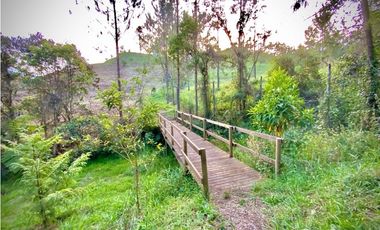 venta Lote Parcelacion El Retiro