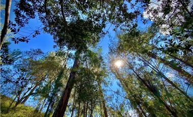 venta Lote Parcelacion El Retiro