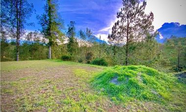 venta Lote Parcelacion El Retiro