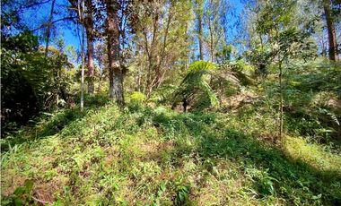 venta Lote Parcelacion El Retiro