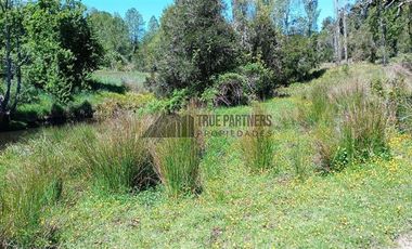 Parcela en Venta en Sector Pichiparga s/N