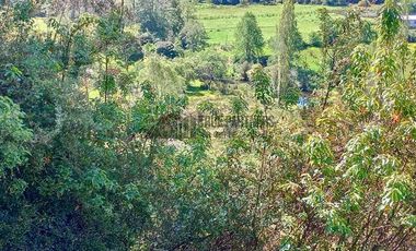 Parcela en Venta en Sector Pichiparga s/N