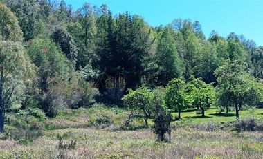 Parcela en Venta en Sector Pichiparga s/N