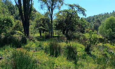 Parcela en Venta en Sector Pichiparga s/N