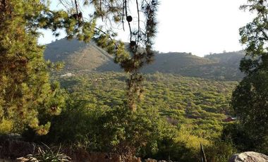 OASIS DE LA CAMPANA / RESERVA ECOLOGICA