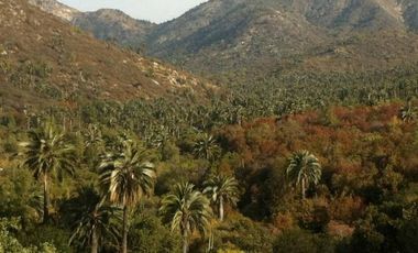 OASIS DE LA CAMPANA / RESERVA ECOLOGICA