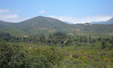 OASIS DE LA CAMPANA / RESERVA ECOLOGICA