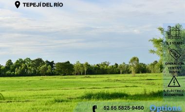 Tepejí del Río, industrial zone to buy industrial land