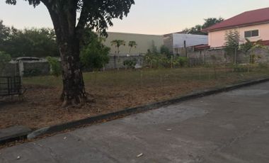 Angeles City Near Clark Vacant Lot For Sale Php 19,000/sqm