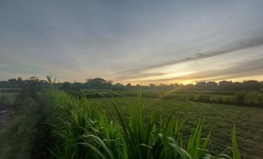 Tanah Komersial Super Murah Los Pantai Matahari Terbit Sanur Bali