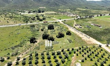 3.9 HA. EN EL ACCESO A SASSI DEL VALLE, VALLE DE GUADALUPE